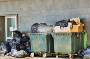 Conteneurs à déchets verts dans la zone back-of-house