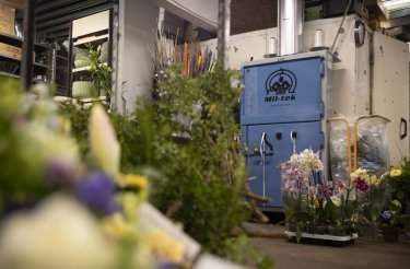 Presse à balles A102 bleue pour carton et plastique dans une boutique de fleurs entourée de plantes vertes